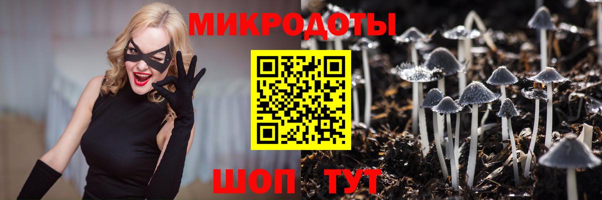 Галлюциногенные грибы Magic Shrooms  Вход с VPN  Стрежевой  Галлюциногенные грибы мицелий 